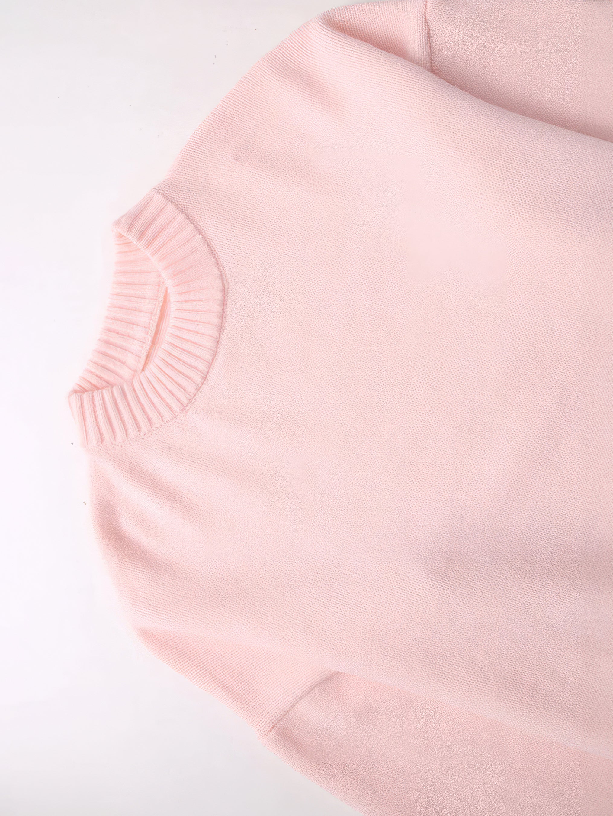 Debby Rose - Roze Sweater met Ronde Kraag Trendy