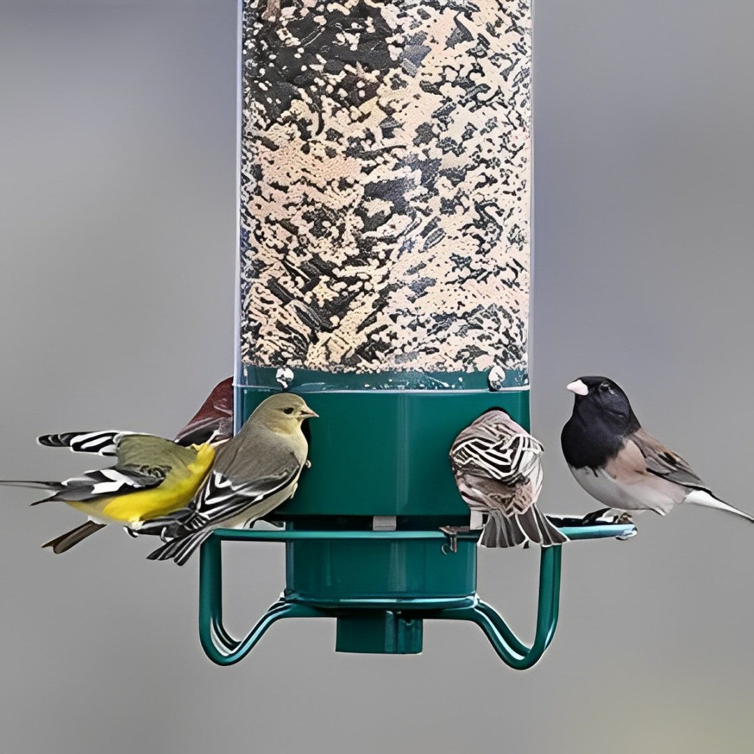 Eekhoornbestendige vogelvoederbak 1