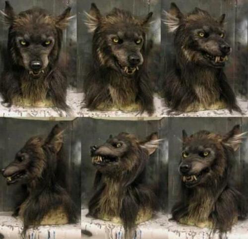 Enge Wolf Masker - Kostuummasker voor Halloween Maskeradefeest 1