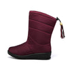 Rood / 35