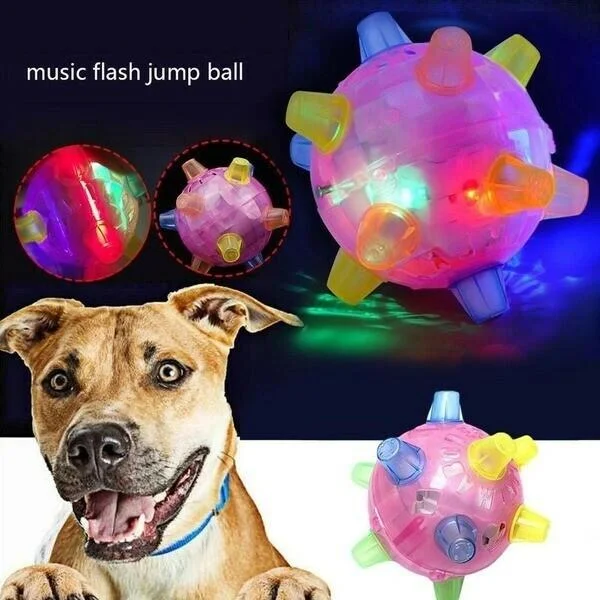 Nieuwe spring-activatiebal voor honden 1