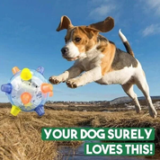 Nieuwe spring-activatiebal voor honden 2
