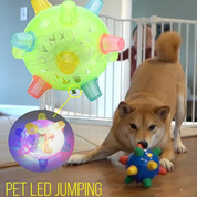Nieuwe spring-activatiebal voor honden 4