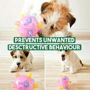 Nieuwe spring-activatiebal voor honden 5