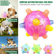 Nieuwe spring-activatiebal voor honden 6