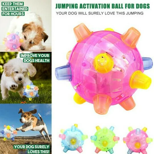 Nieuwe spring-activatiebal voor honden 6