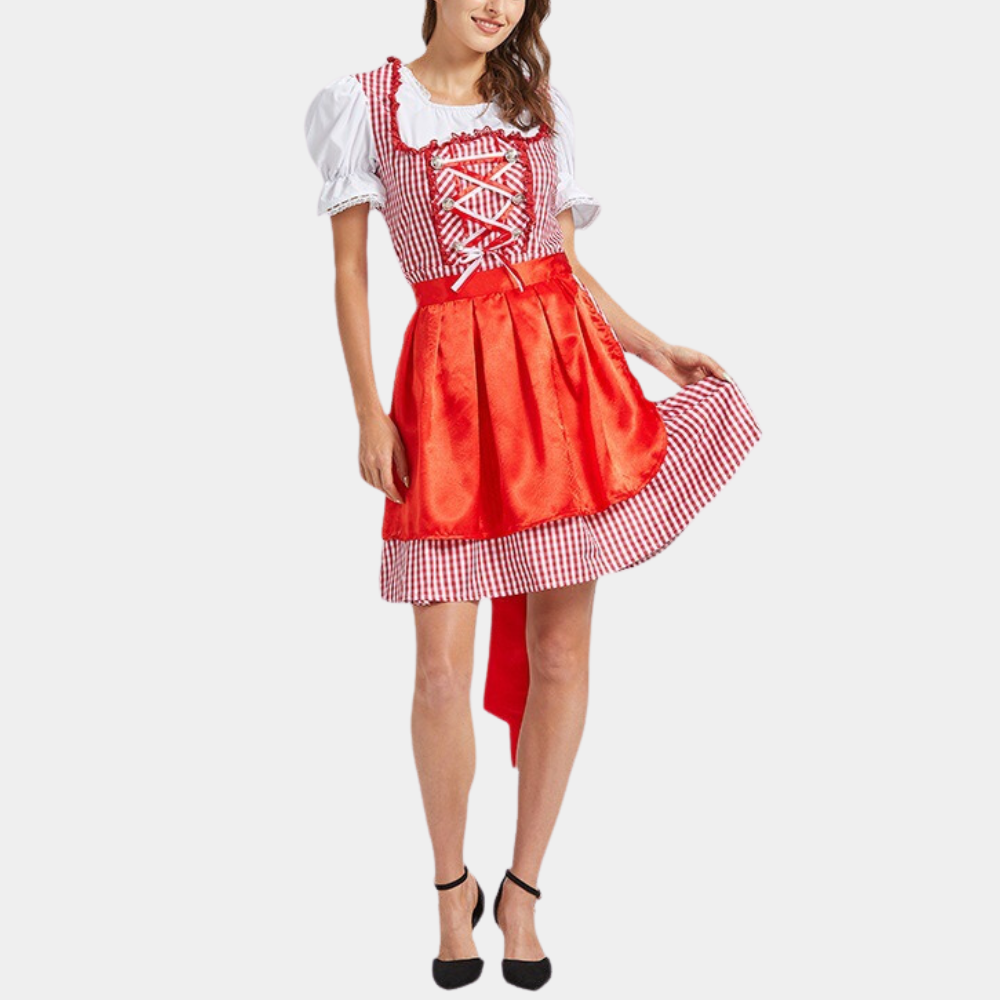 Oktoberfest dirndljurk met ruitjesmotief en satijnen lintschort 1