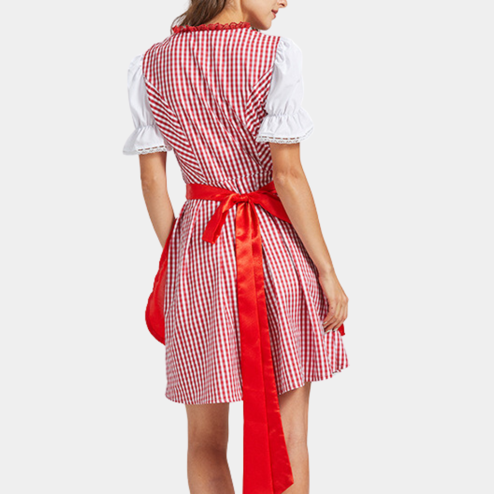 Oktoberfest dirndljurk met ruitjesmotief en satijnen lintschort 3