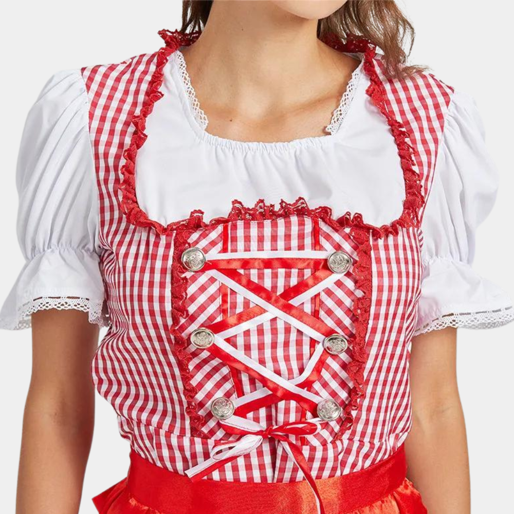 Oktoberfest dirndljurk met ruitjesmotief en satijnen lintschort 4