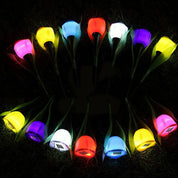 FloraGlow - Zonne-energie Tulpenbloem Verlichting voor Buitendecoratie