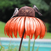 Voederbak voor zonnehoedvogels 2