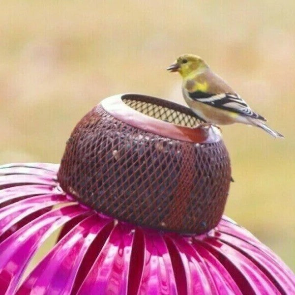 Voederbak voor zonnehoedvogels 5