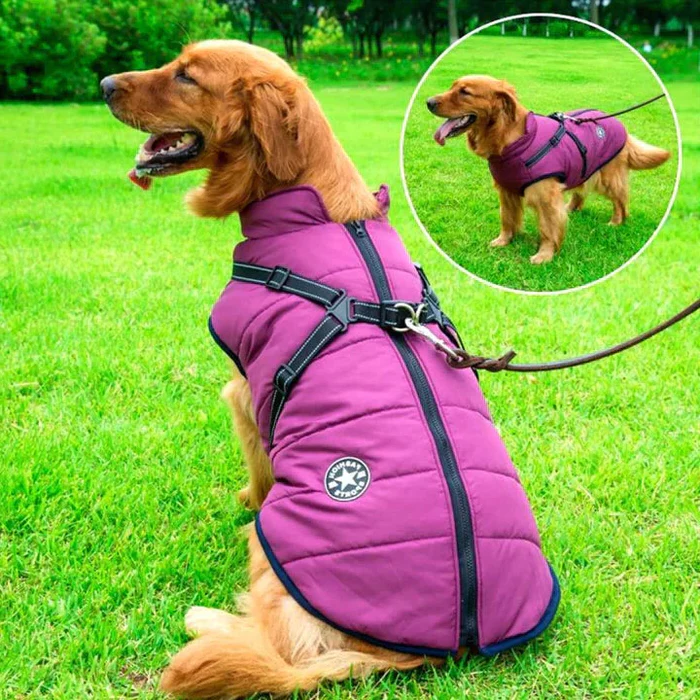 Waterdichte winterjas voor honden - gevoerd met Sherpa-fleece - ingebouwd harnas 0