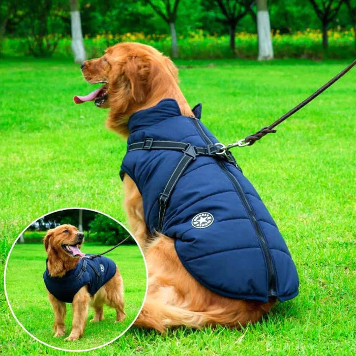 Waterdichte winterjas voor honden - gevoerd met Sherpa-fleece - ingebouwd harnas 2
