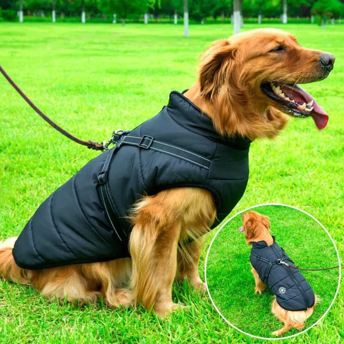 Waterdichte winterjas voor honden - gevoerd met Sherpa-fleece - ingebouwd harnas 3